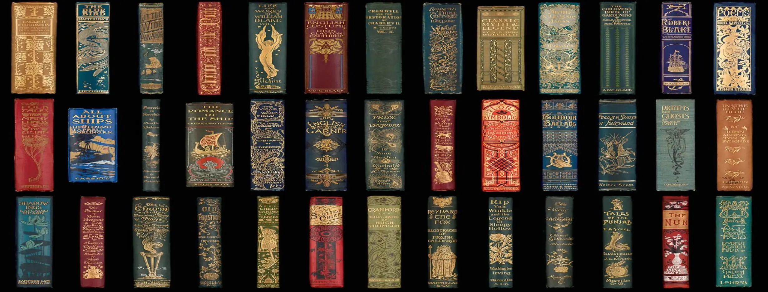 Image for Literary Delights